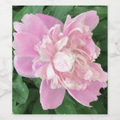 Peony Wijn Etiket (Enkel label)
