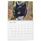 Pepe, een jaar op de kalender van het leven (Mar 2026)