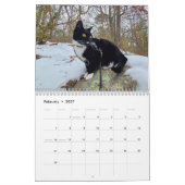 Pepe, Une Année Dans Le Calendrier De Vie (Feb 2027)