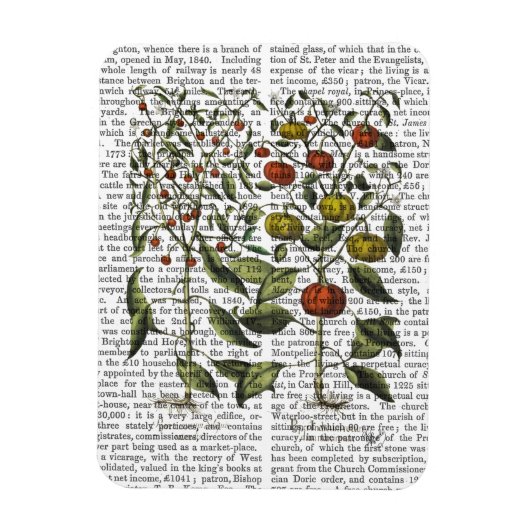 Peper 4 magneet (Verticaal)