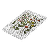 Peper 4 magneet (Linkerzijde)