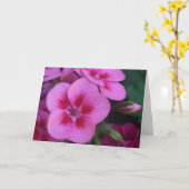 pepermuntroze geranium kaart (Gele Bloem)