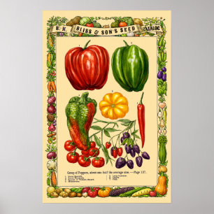 Pepervariëteiten Retro Victoriaans tijdperk Botani Poster