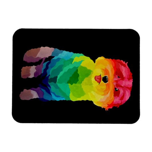 Pepita Rainbow Flexible Magnet (Horizontal)