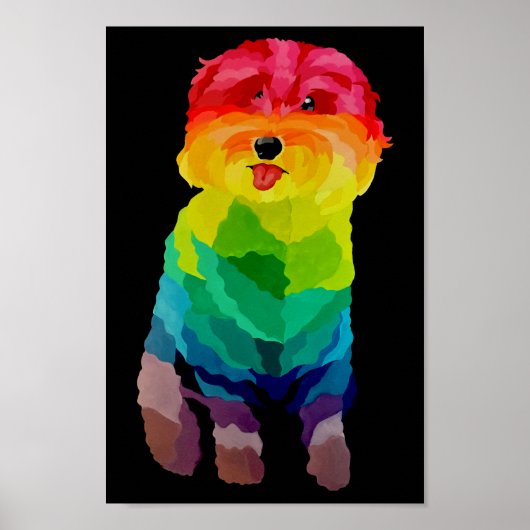 Pepita Rainbow-Poster Poster (Voorkant)