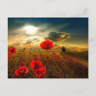 Pépites belle carte postale jour
