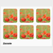 Pépites dans un champ de pavot autocollant (Feuille)