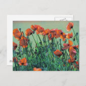 Pépites no 4 | Carte postale (Devant / Derrière)