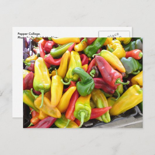 Pepper Collage Briefkaart (Voorkant / Achterkant)