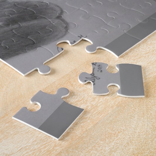 Pepper Puzzle (Côté)