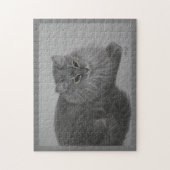 Pepper Puzzle (Vertical)