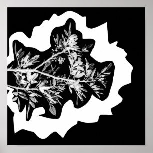 Pepper Tree Flowers laten Natuur Poster