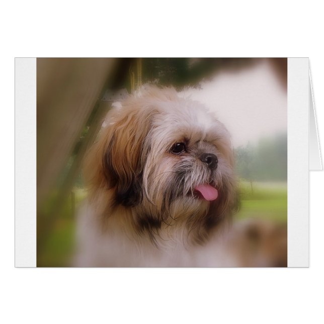 Peppergewas (Voorkant Horizontaal)