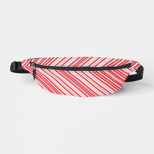 Peppermenthe Fanny Pack (Recto)