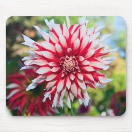 Peppermint Dahlia Mousepad Muismat