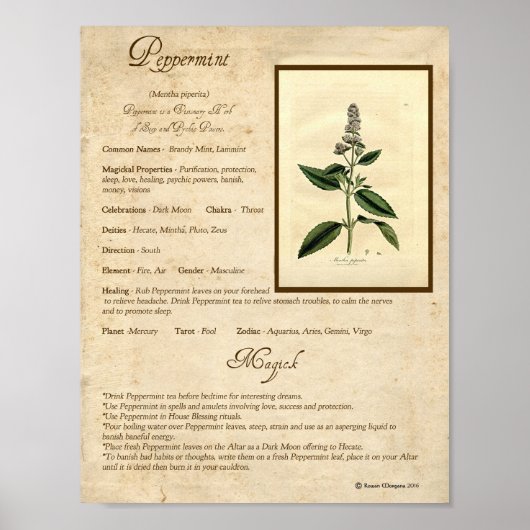 PEPPERMINT MAGICK HERB POSTER (Voorkant)