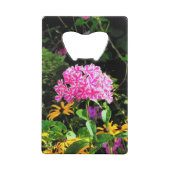Peppermint Twist Phlox dans le jardin des fleurs (Dos)