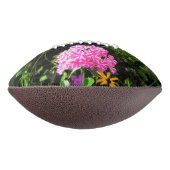 Peppermint Twist Phlox in de onderste tuin American Football (Gedraaid 90)