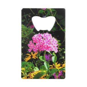 Peppermint Twist Phlox in de onderste tuin Kredietkaart Flessenopener