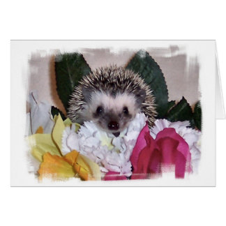Pepperpot de Egel
