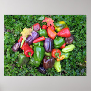 Peppers en leder poster
