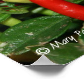 Peppers Poster (Hoek)