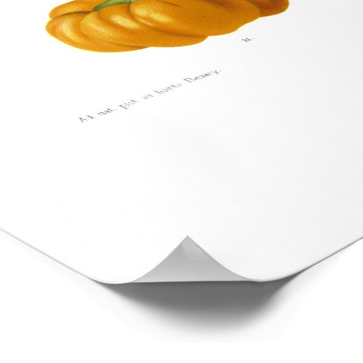 Peppers Poster (Hoek)