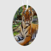 Pepsi - ornament (voorkant)