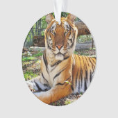 Pepsi - ornament (voorkant)