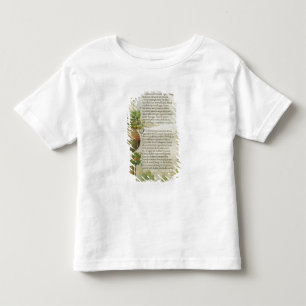 Per fare una leggiadra sua vendetta"; kinder shirts