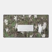 Perce-Neige Blancs dans l'Herbe de Printemps (Clavier et souris)