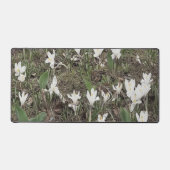 Perce-Neige Blancs dans l'Herbe de Printemps (Recto)