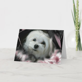 Perce-neige la carte d'anniversaire maltaise