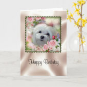 Perce-neige la carte d'anniversaire maltaise (Fleur jaune)