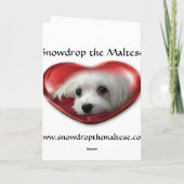 Perce-neige la carte de Noël maltaise (Dos)