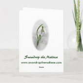 Perce-neige la carte de voeux maltaise (Dos)