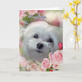 Perce-neige la carte de voeux maltaise (Fleur jaune)