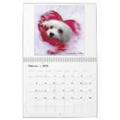 Perce-neige le calendrier maltais (Feb 2026)