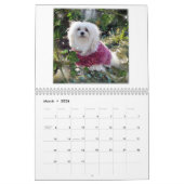 Perce-neige le calendrier maltais (Mar 2026)