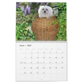 Perce-neige le calendrier maltais (Mar 2027)