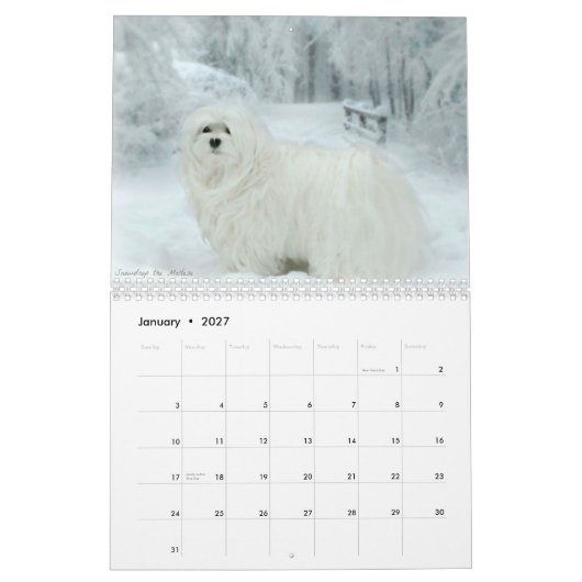 Perce-neige le calendrier maltais (Jan 2027)