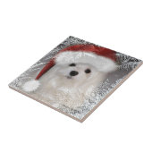 Perce-neige le carreau de céramique décoratif (Côté)