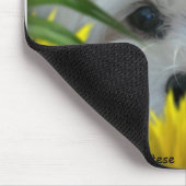 Perce-neige le tapis de souris maltais (Coin)