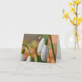 Perce-Neige sur Cartes de Vœux (Fleur jaune)