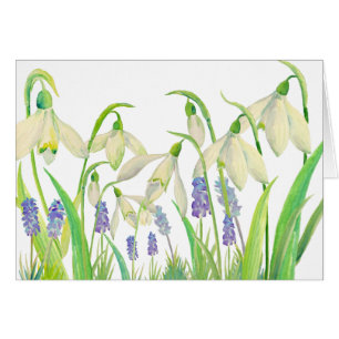Perce-neiges et Muscari d'aquarelle