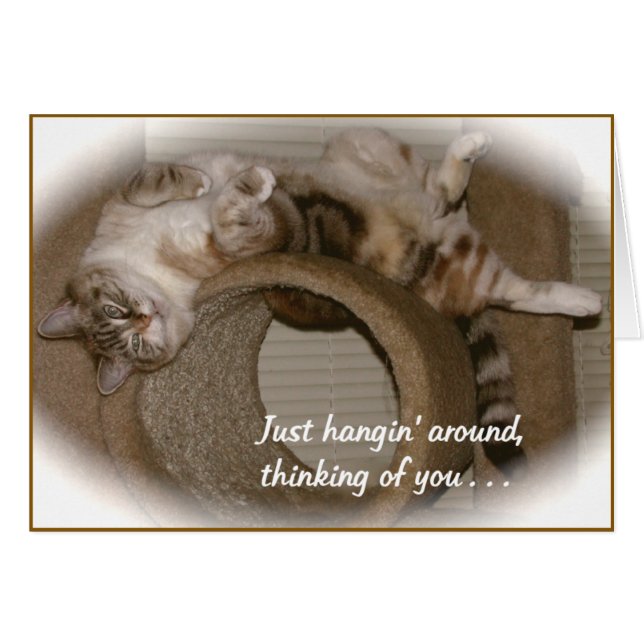 Percer le chat (Devant horizontal)