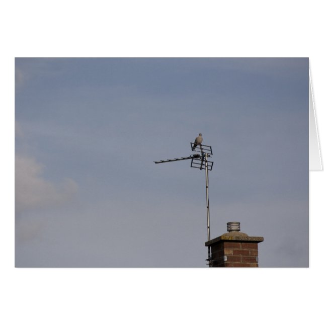 Perch (Voorkant Horizontaal)