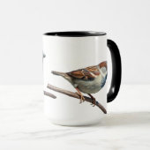 Perche du Bruant : Bruant de la maison de la Mug i (Devant droit)