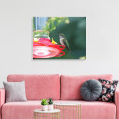 Perched Hummingbird Canvas Afdruk (Insitu (Woonkamer))