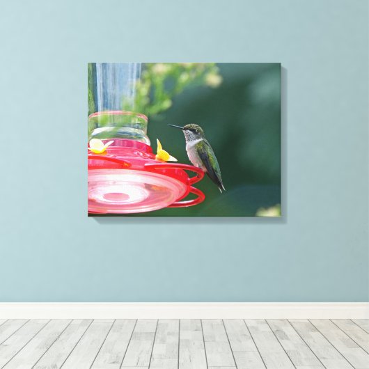 Perched Hummingbird Canvas Afdruk (Insitu (Houten vloer))